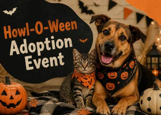 Howl-O-Ween Adoption Event