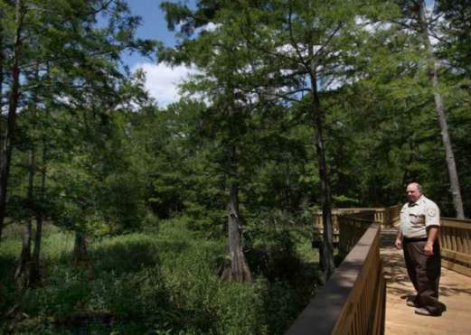 Anahuac National Wildlife Refuge