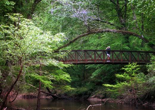 Big Thicket National Preserve