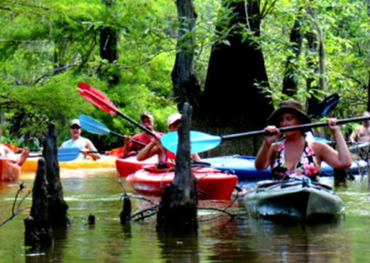 Big Thicket Outfitters