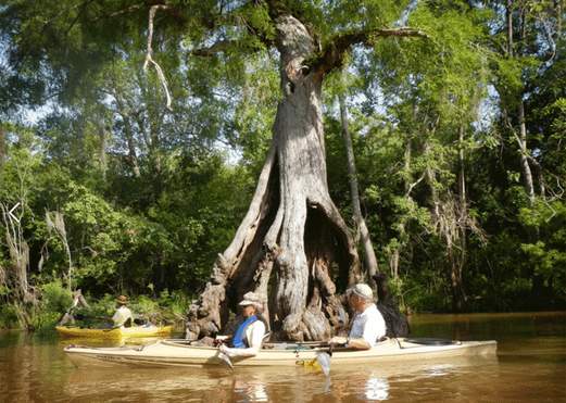 Cook's Lake to Scatterman Paddling Trail