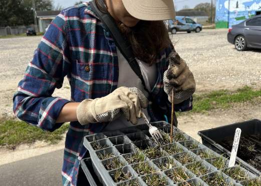 Coastal Natives Nursery Workday