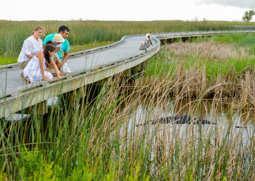 Creole Nature Trail