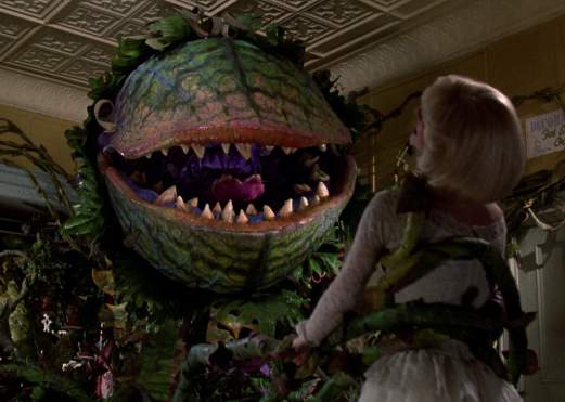 13 Nights of Halloween – Little Shop of Horror
