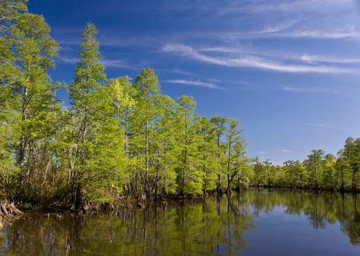 Neches River