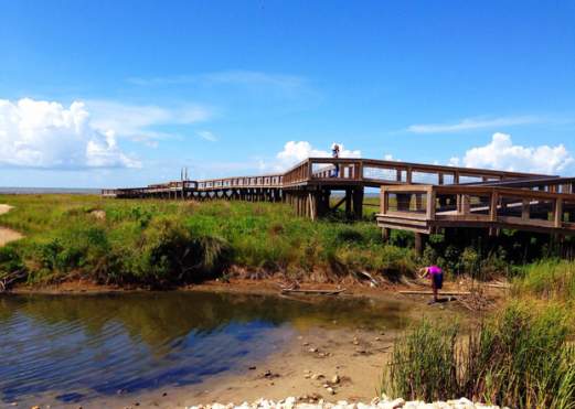Sea Rim State Park