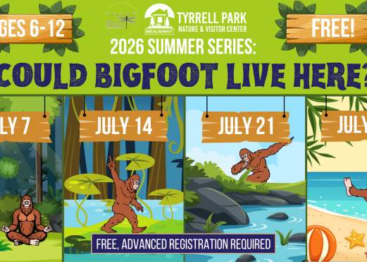 TPNC Summer Series