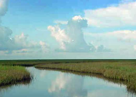 McFaddin National Wildlife Refuge