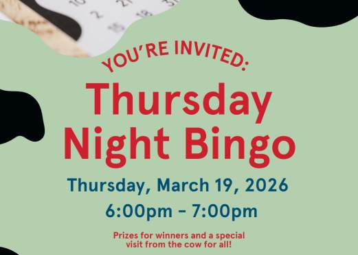 Bingo Night