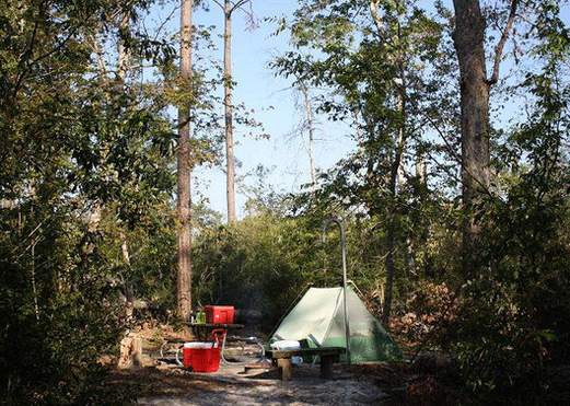 Village Creek State Park & Paddling Trail