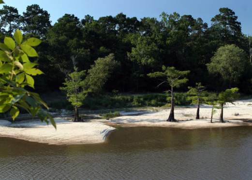 Village Creek State Park & Paddling Trail