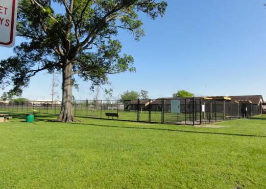 Ida Reed Dog Park