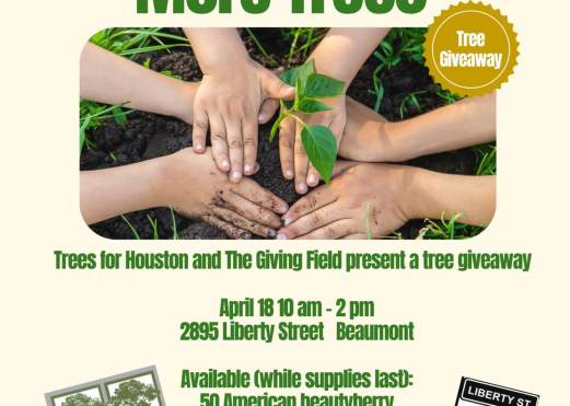 Family Fun Day: Celebrating Earth Day