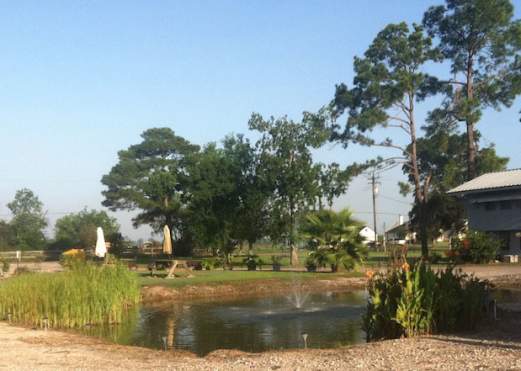 In the Middle RV Park