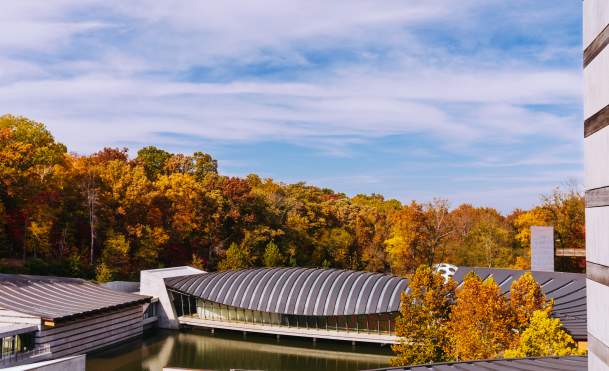 Fall Visit Guide