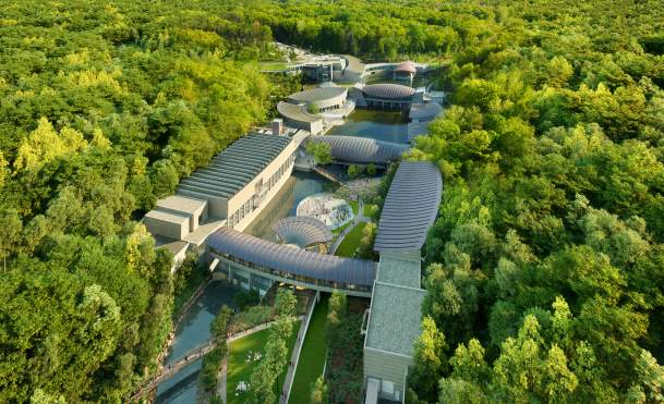 Explora el arte en Bentonville: museos, murales y más