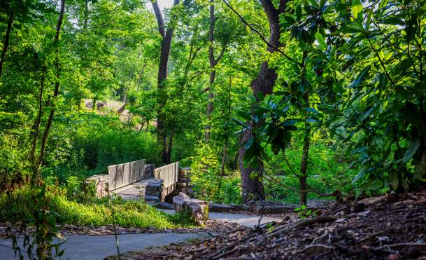 Things to Do This Weekend in Bentonville | April 3-5