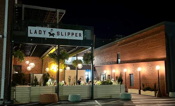 Artful Bites with Lady Slipper