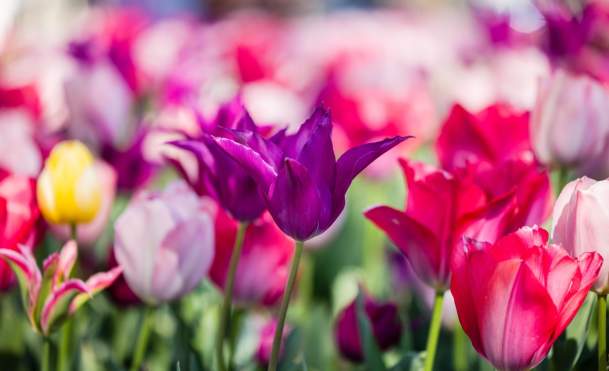 Easter Weekend | April 3—5