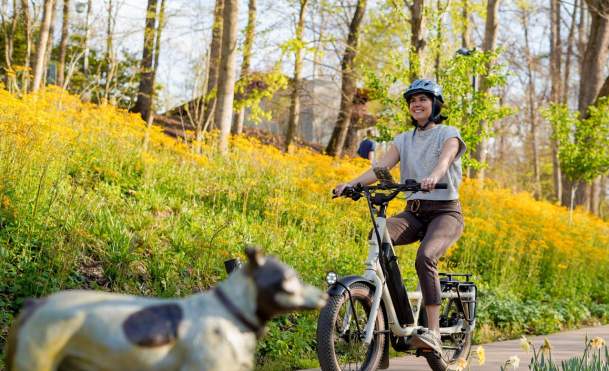 Explore Bentonville’s Public Art by Bike