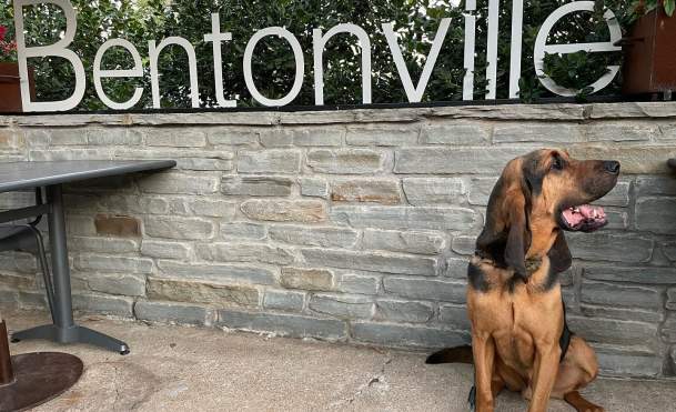 A 'Paw'some Guide to Visiting Bentonville With Your Furry Friend