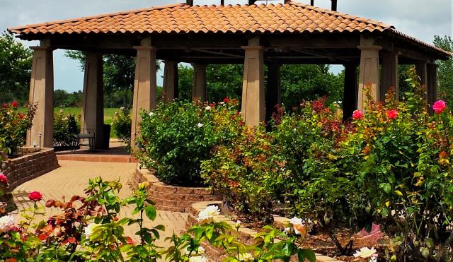 South Texas Botanical Gardens & Nature Center Corpus Christi Tx: Explore Nature's Beauty