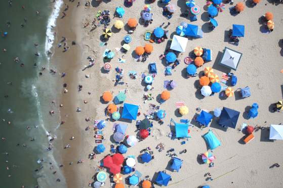 We Asked, You Answered: How Are You Celebrating America's 250th in OCMD this Summer?