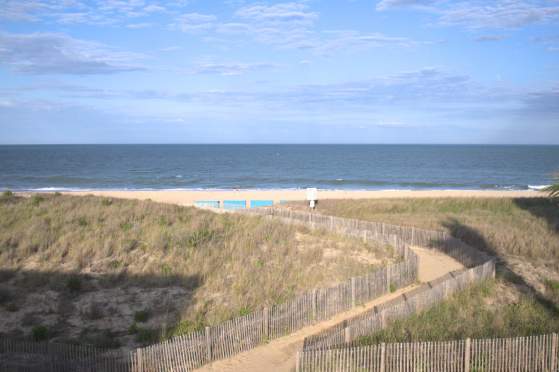 Kids Travel Guide to OCMD!