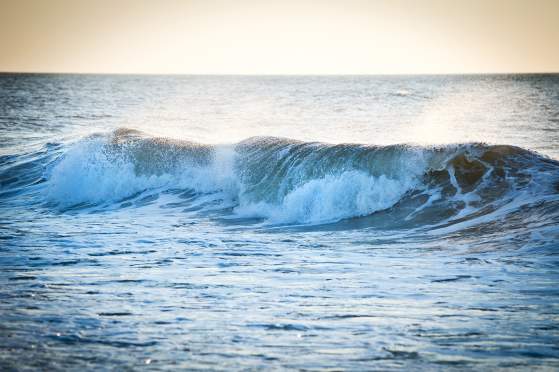 We Asked, You Answered: Favorite Spring Break Activities