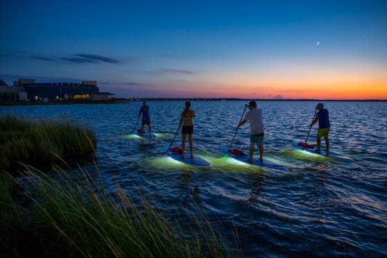 Paddleboard