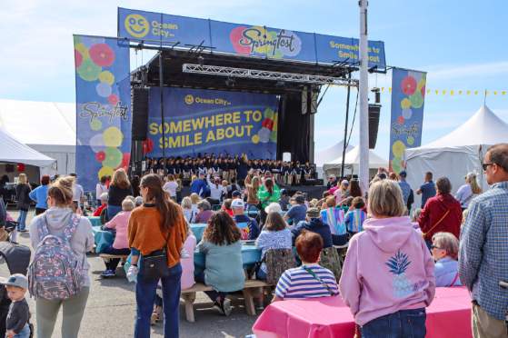 Top Springfest Snacks - The Weekend Treats You Can’t Live Without