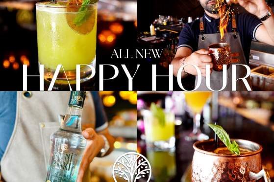 HAPPY HOUR