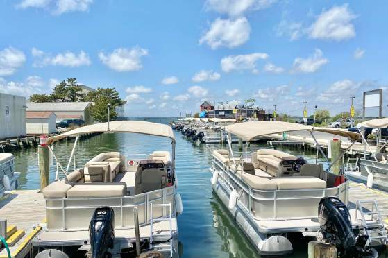 Bayside Boat Rentals