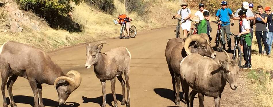 Waterton canyon bike trail shop