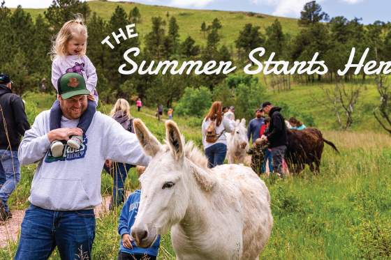 Summer Starts Here: Black Hills & Badlands in June
