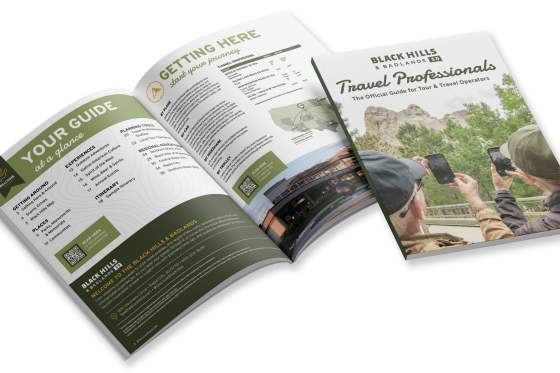 Travel professional guide
