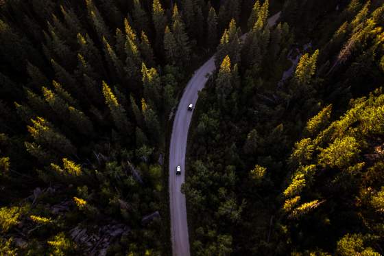 Discovering Nemo Road: A Hidden Gem of the Black Hills - Route Reimagined