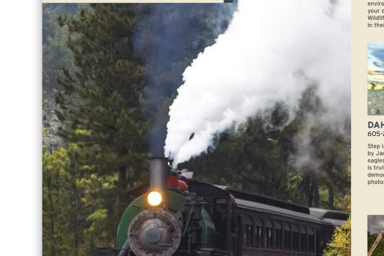 Spring Mailer 1880 Train