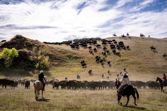 Roundup and Wind Down: The Black Hills & Badlands in September