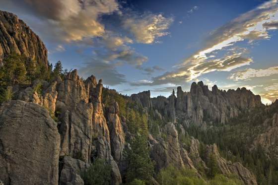 Custer State Park Needles