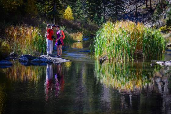 Your Guide to Fall Colors in the Black Hills and Badlands
