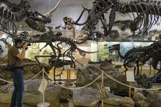 Mysteries at the Museums