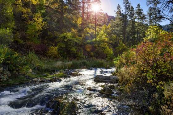 Spearfish Canyon