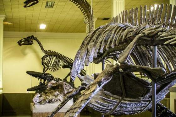 Mysteries at the Museum