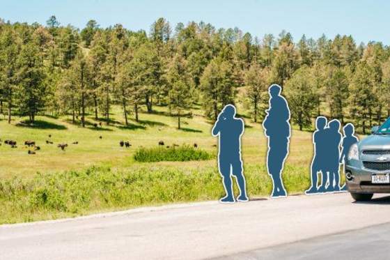 Picture Yourself — in Custer State Park