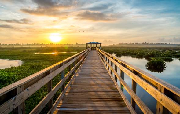 Cattail Marsh Boardwalk