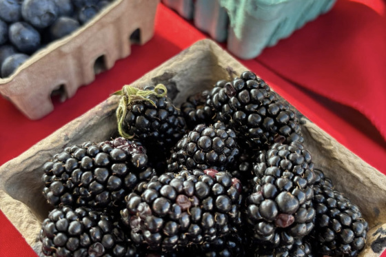 29 Palms Certified Farmers Market