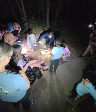 BioBlitz: Bickham-Rudkin Park