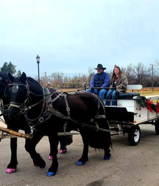 Holiday Carriage Rides