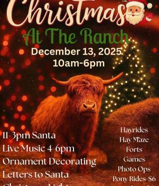 Christmas at the Ranch